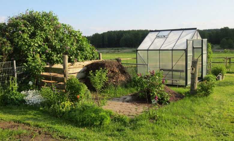 greenhouse, allotment garden, garden shed