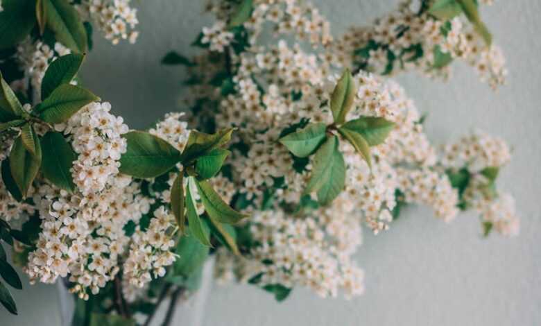 Bunch Of Flowers In A Vase