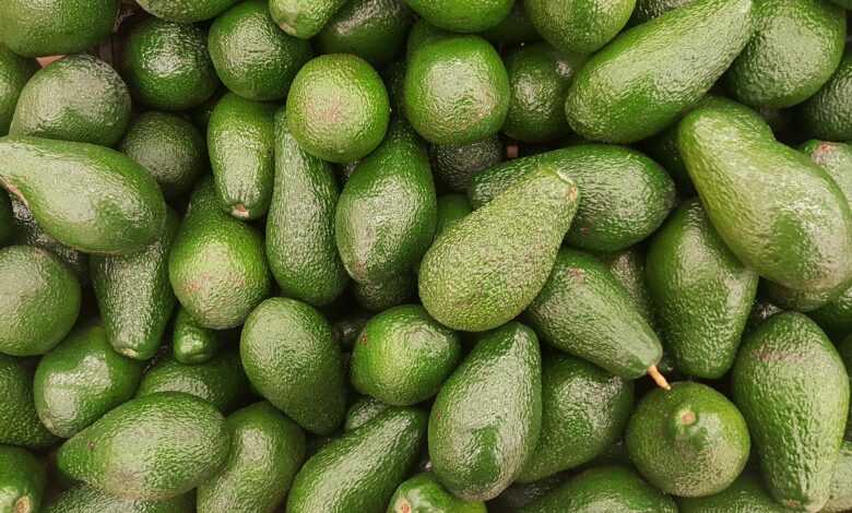 avocado, fruit, vegetarian