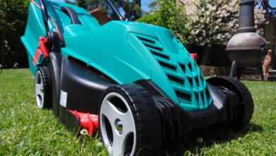 lawn mower, leisure time, hobby, nature, lawn care, garden