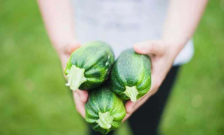 Close Up of Woman Holding Vegetables