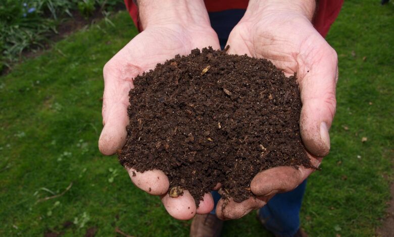 fresh, compost, hand, man, compost, compost, compost, compost, compost