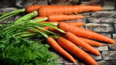 carrots, vegetables, harvest