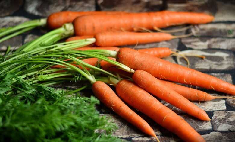 carrots, vegetables, harvest