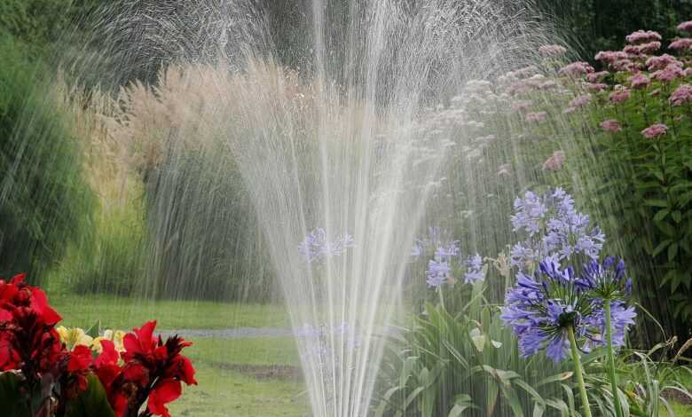 garden, water, lawn, nature, green, spray, watering, splash, sprinkling, garden, sprinkling, sprinkling, sprinkling, sprinkling, sprinkling