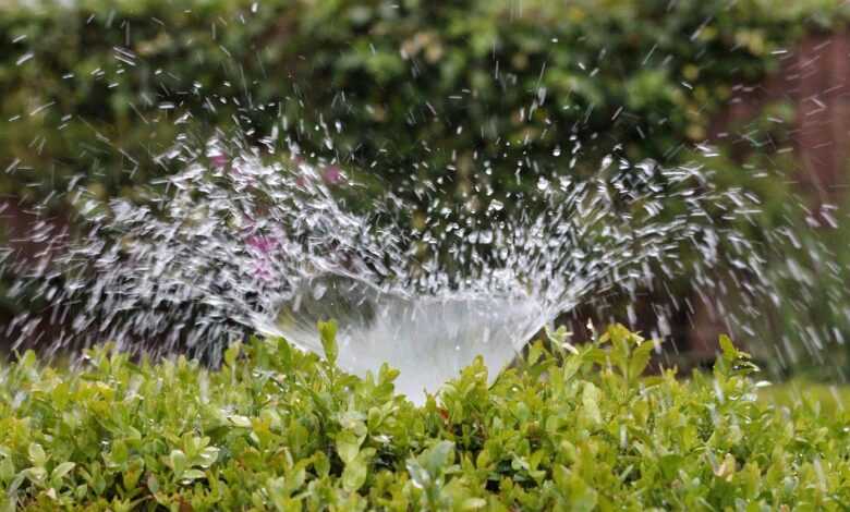 irrigation, splash, water