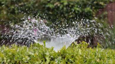 irrigation, splash, water