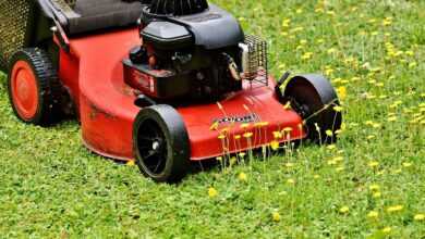 lawn mower, mow, cut the lawn, green, meadow, gardening, grassy area, to cut, cut grass, nature, grass, garden, blades of grass, lawn mower, lawn mower, lawn mower, lawn mower, lawn mower, cut the lawn