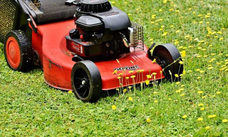 lawn mower, mow, cut the lawn, green, meadow, gardening, grassy area, to cut, cut grass, nature, grass, garden, blades of grass, lawn mower, lawn mower, lawn mower, lawn mower, lawn mower, cut the lawn