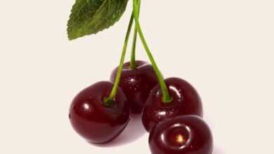 sour cherry, fruit, health, sour cherry, sour cherry, sour cherry, sour cherry, sour cherry