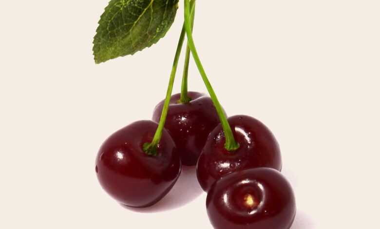 sour cherry, fruit, health, sour cherry, sour cherry, sour cherry, sour cherry, sour cherry