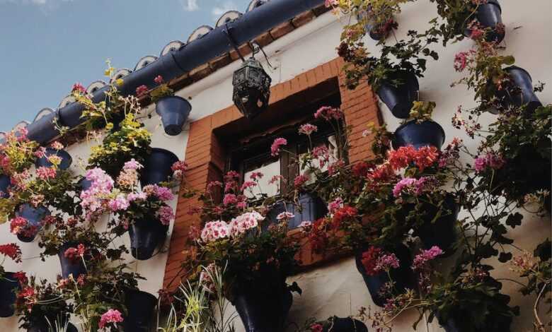 Flowers Hanged on Wall