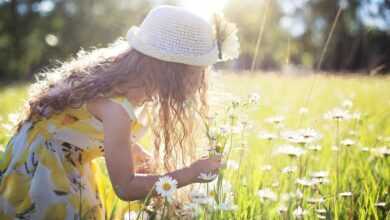 picking flowers, daisies, child, nature, childhood, happy, outdoor, summer, meadow, field, playing, freedom, happiness, joy, child, happy, happy, happy, happy, happy, happiness, joy