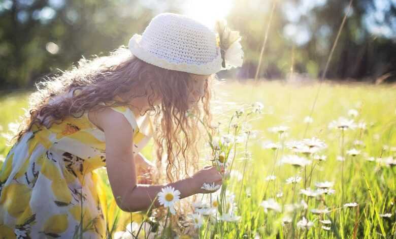 picking flowers, daisies, child, nature, childhood, happy, outdoor, summer, meadow, field, playing, freedom, happiness, joy, child, happy, happy, happy, happy, happy, happiness, joy