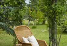 chair, furniture, background