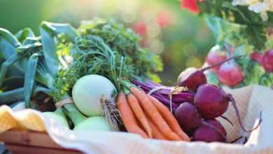 vegetables, onions, carrots