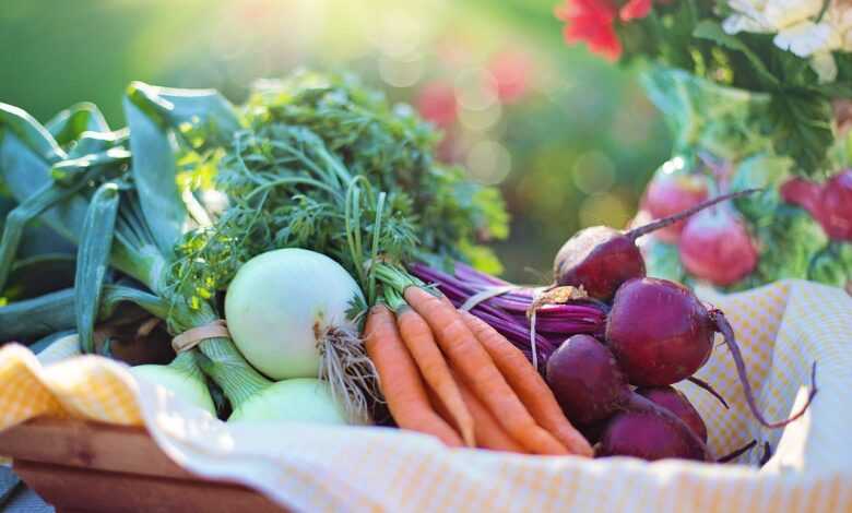 vegetables, onions, carrots