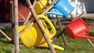 watering can, plastic, multicoloured, red, blue, yellow, to water, water, irrigation, garden, vessel, plastic can, nature, gardening, sculpture, today rock rack, wood, stand, summer