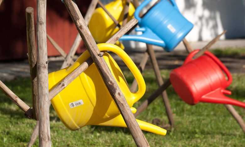 watering can, plastic, multicoloured, red, blue, yellow, to water, water, irrigation, garden, vessel, plastic can, nature, gardening, sculpture, today rock rack, wood, stand, summer