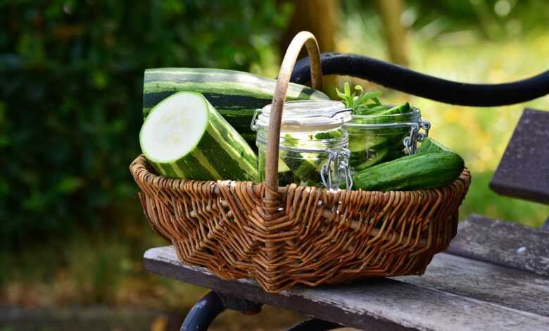 zucchini, vegetables, cucumbers