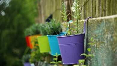 plant pot, multicoloured, lavender