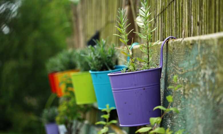 plant pot, multicoloured, lavender