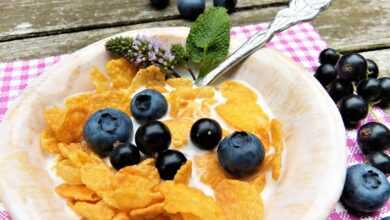 corn flakes, milk, berry