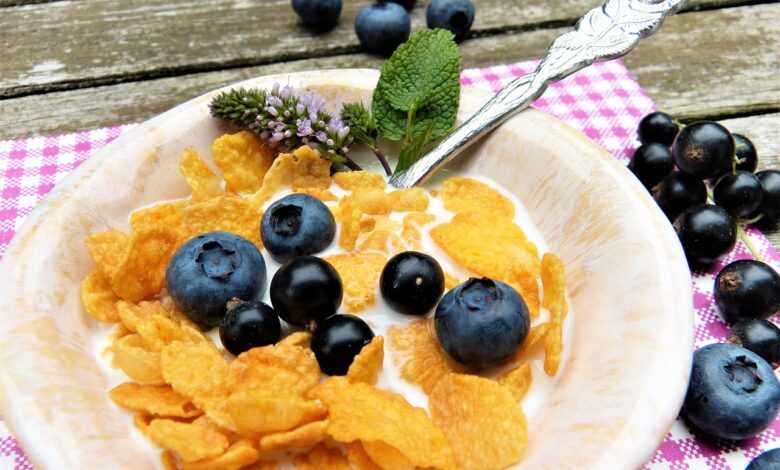 corn flakes, milk, berry