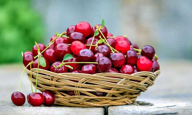 cherry, basket, berry