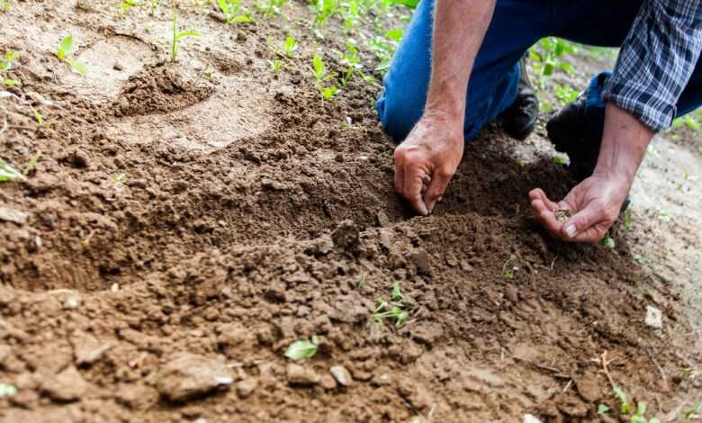 soil, land, environment