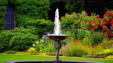 fountain, water games, water