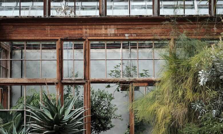 greenhouse, structure, plants