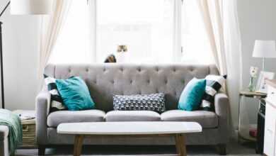 living room, sofa, couch, interior design, decoration, pillow, windows, curtain, table, furniture, cozy, home, house, living room furniture, interior decoration, home furniture, living room, living room, living room, living room, living room, sofa, sofa, sofa, couch, interior design, furniture, furniture, furniture, home, home, home, house, house, house, house