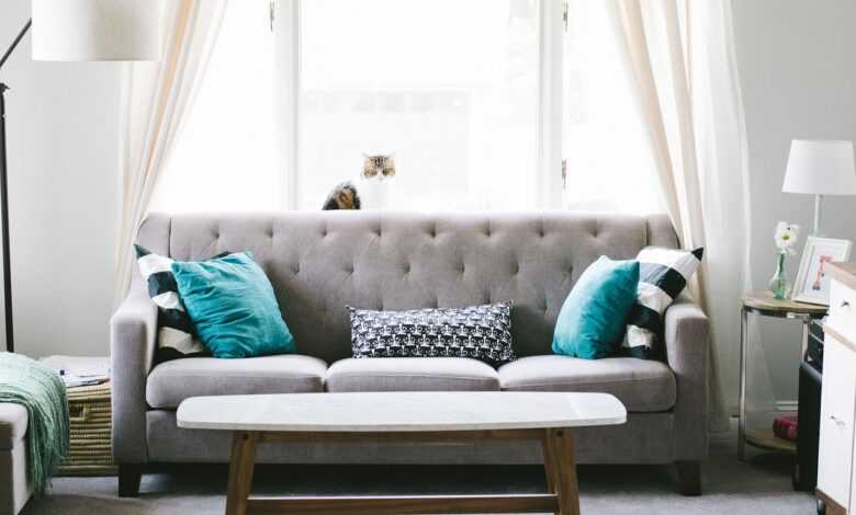 living room, sofa, couch, interior design, decoration, pillow, windows, curtain, table, furniture, cozy, home, house, living room furniture, interior decoration, home furniture, living room, living room, living room, living room, living room, sofa, sofa, sofa, couch, interior design, furniture, furniture, furniture, home, home, home, house, house, house, house