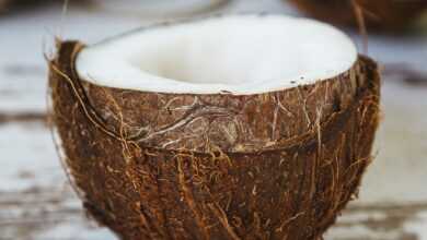 coconut, shell, coconut oil, fruit, wood, food, brown food, brown wood, brown fruits, coconut, coconut, coconut, coconut, coconut, coconut oil, coconut oil, coconut oil, coconut oil