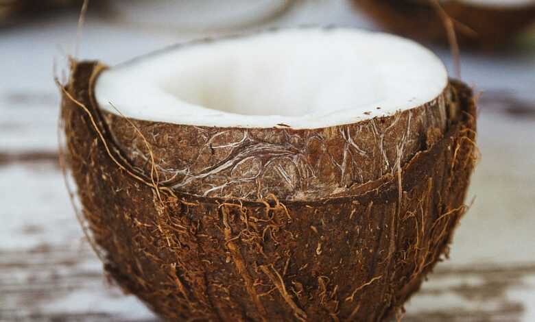 coconut, shell, coconut oil, fruit, wood, food, brown food, brown wood, brown fruits, coconut, coconut, coconut, coconut, coconut, coconut oil, coconut oil, coconut oil, coconut oil