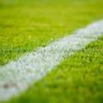 grass, lawn, field, sports, nature, soccer, football, green grass, green football, green sports, green field