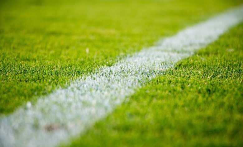 grass, lawn, field, sports, nature, soccer, football, green grass, green football, green sports, green field