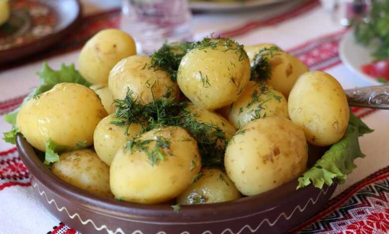 ukrainian dill potatoes, potatoes, vegetable