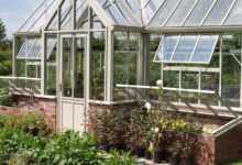 greenhouse, nature, garden, glass