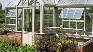 greenhouse, garden, nature, glass