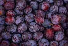 plums, fruits, ripe