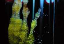 regenerative reliquary, amy karle, stem cell, bioprint, technology, 3-d printing, biology, biodegradable, pegda hydrogel, sculpture, the bioreactor, mesenchymal stem cells, future, donor, construction, mineralization, bone, progress, art, science, aec, aec linz, ars electronica center, ars electronica festival, the ars electronica festival in 2017, bio-art project, project, healing the body, healing bone, impossible, biomedicine, futuristic, emergence of bone, laboratory, emergence, stem cell, stem cell, stem cell, stem cell, stem cell, biodegradable, biodegradable, biodegradable, impossible, biomedicine, biomedicine, biomedicine