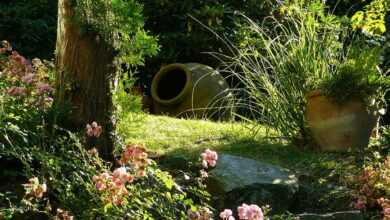 garden, horticulture, garden design