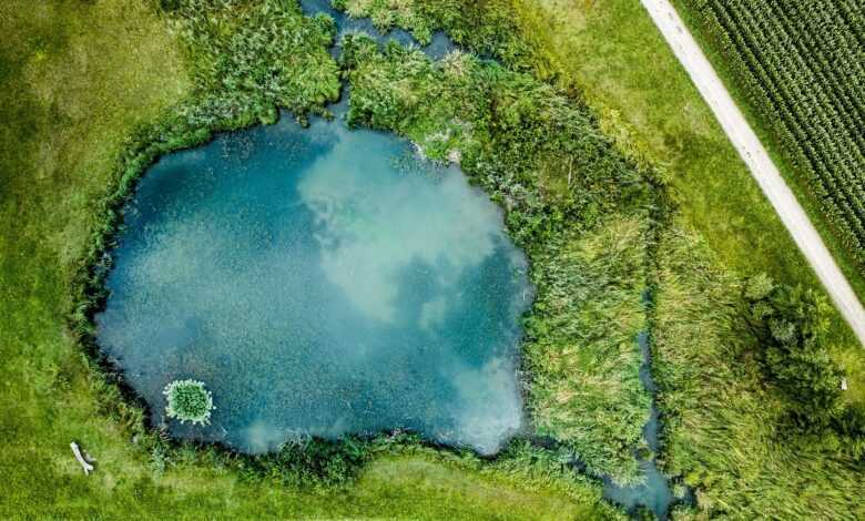 lake, aerial view, fields, meadows, reflection, water reflection, greenery, green fields, nature, landscape, pond, bird's eye view, drone photography, aerial photography, pond, pond, pond, pond, pond