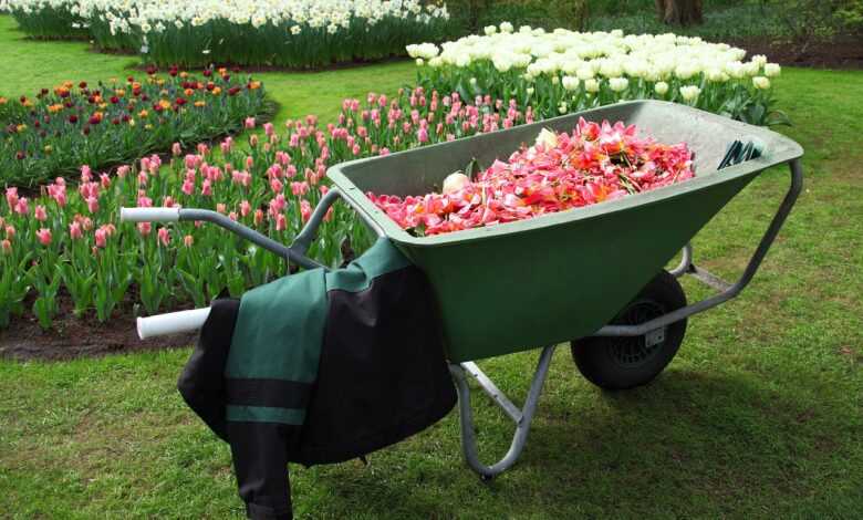 barrow, nature, cart