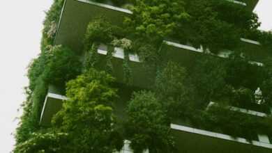 White Building Exterior Surrounded Trees And Gardens