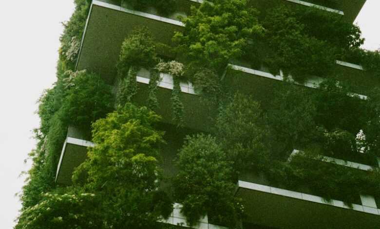 White Building Exterior Surrounded Trees And Gardens