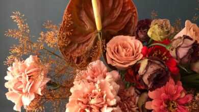 Crop person with bunch of various flowers including roses and gerberas with decorative plants branches