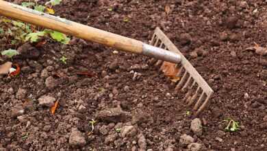 rake, gardening, garden, agriculture, work, tool, gardener, equipment, outdoor, raking, rural, soil, cultivation, earth, surface, ground, texture, nature, land, planting, nobody, brown, cultivated, dirt, farmland, weeding, brown earth, brown work, brown texture, brown garden, brown gardening, brown tools